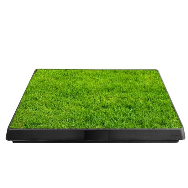 Indoor Dog Potty Training Pad with Removable Waste Tray, Artificial Turf, 25"×20" I330