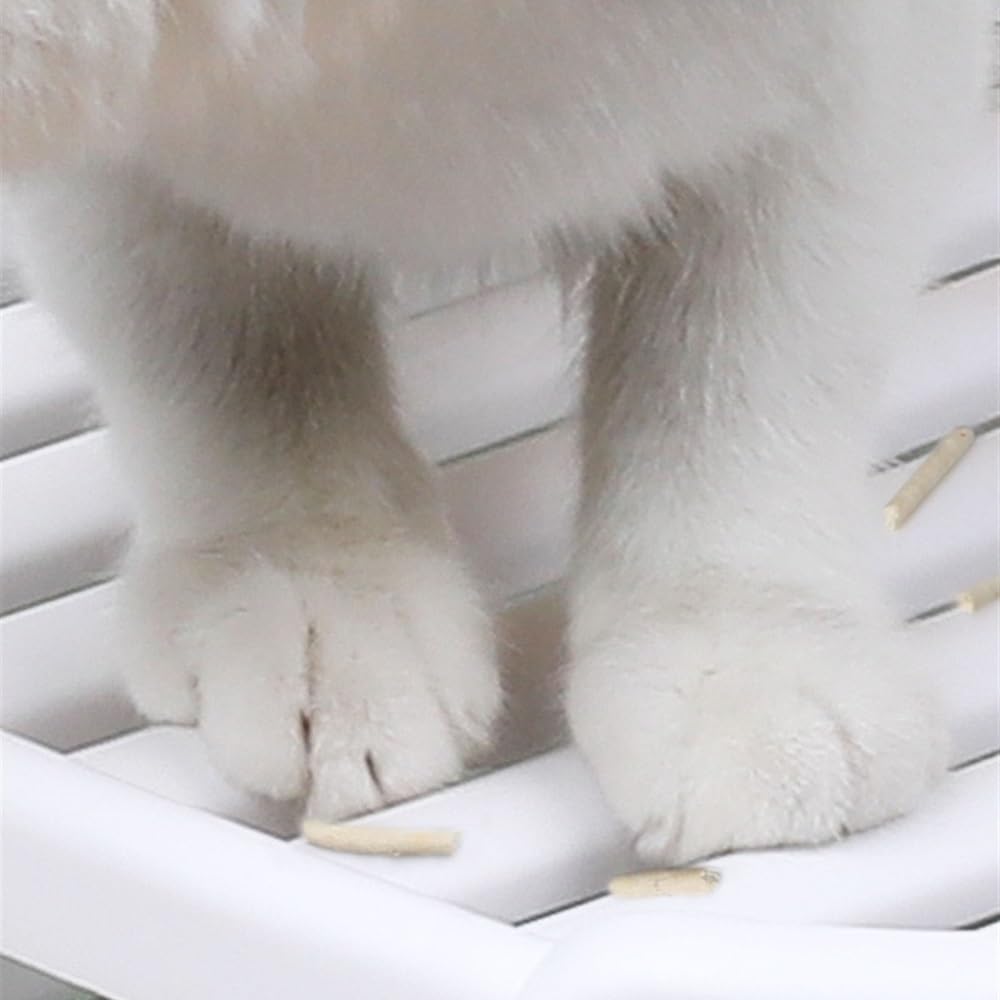 Enclosed Top-Entry Cat Litter Box with Scoop D42392