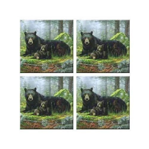Set of 4 Coasters E33777