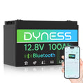 12V 100Ah LiFePO4 Lithium Battery I358