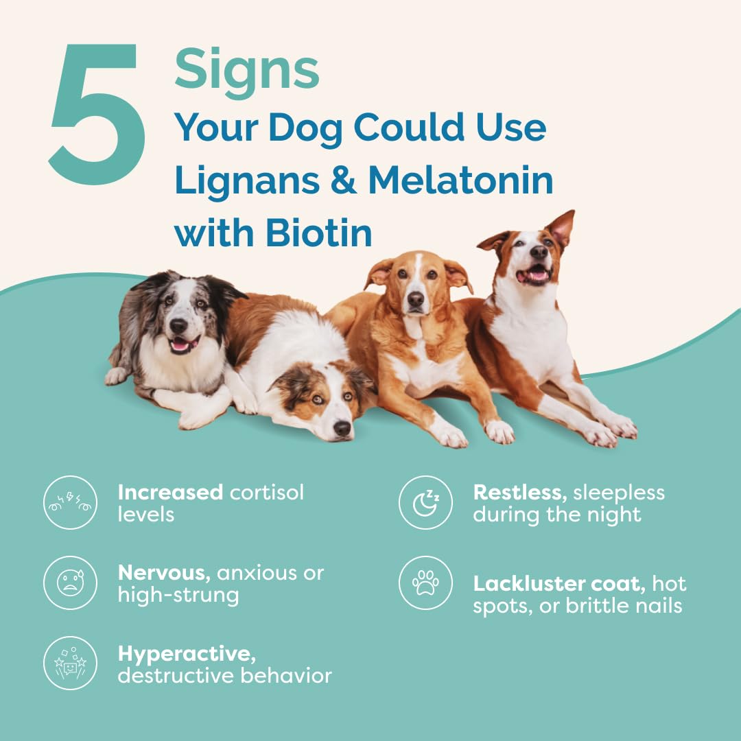 Lignans & Melatonin with Biotin Blend for Dogs Over 25 lb U968