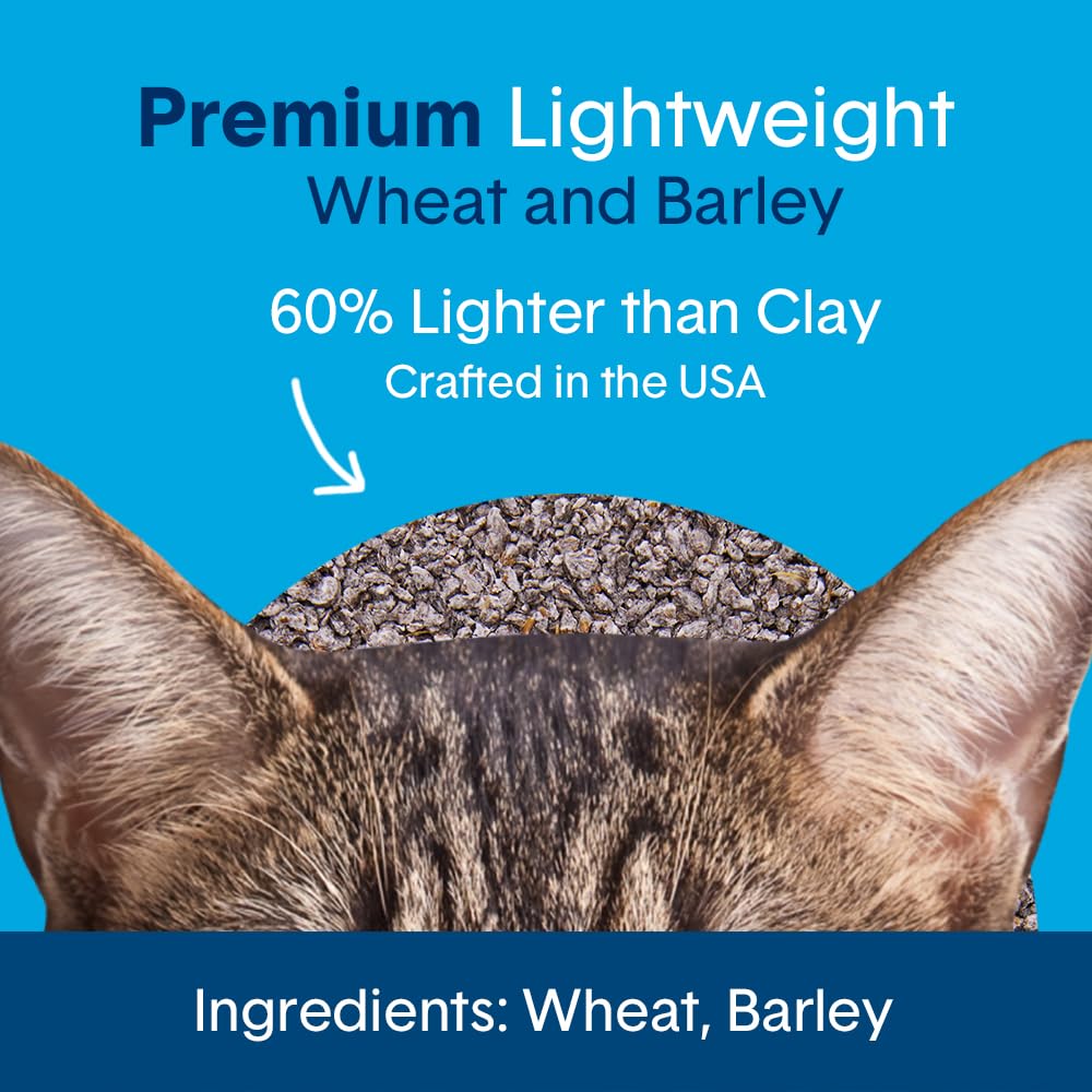 Unscented Natural Lightweight Cat Litter 11.5 lb G4528