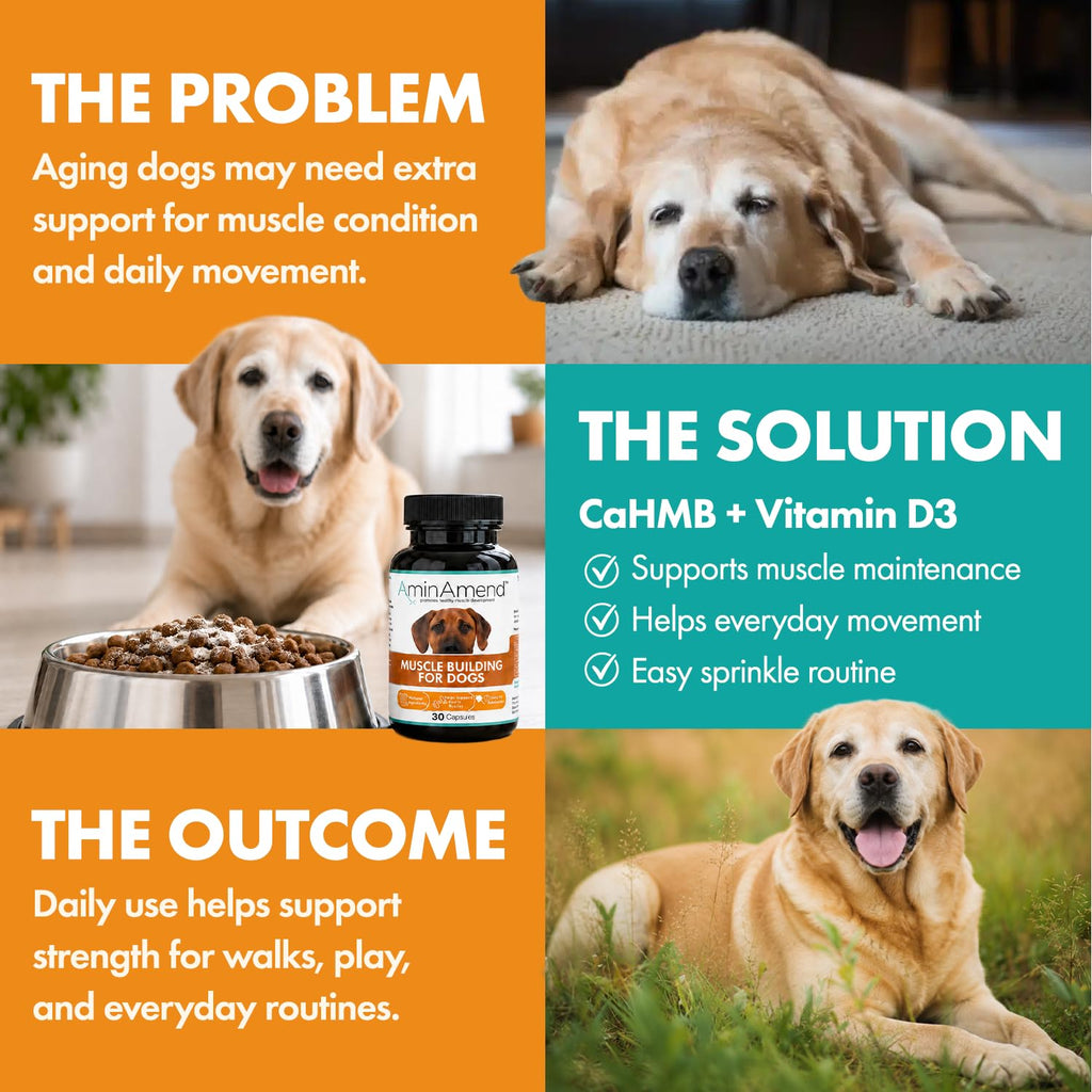 430 mg Muscle Support for Dogs, 30 Ct., 2-Pack E539289