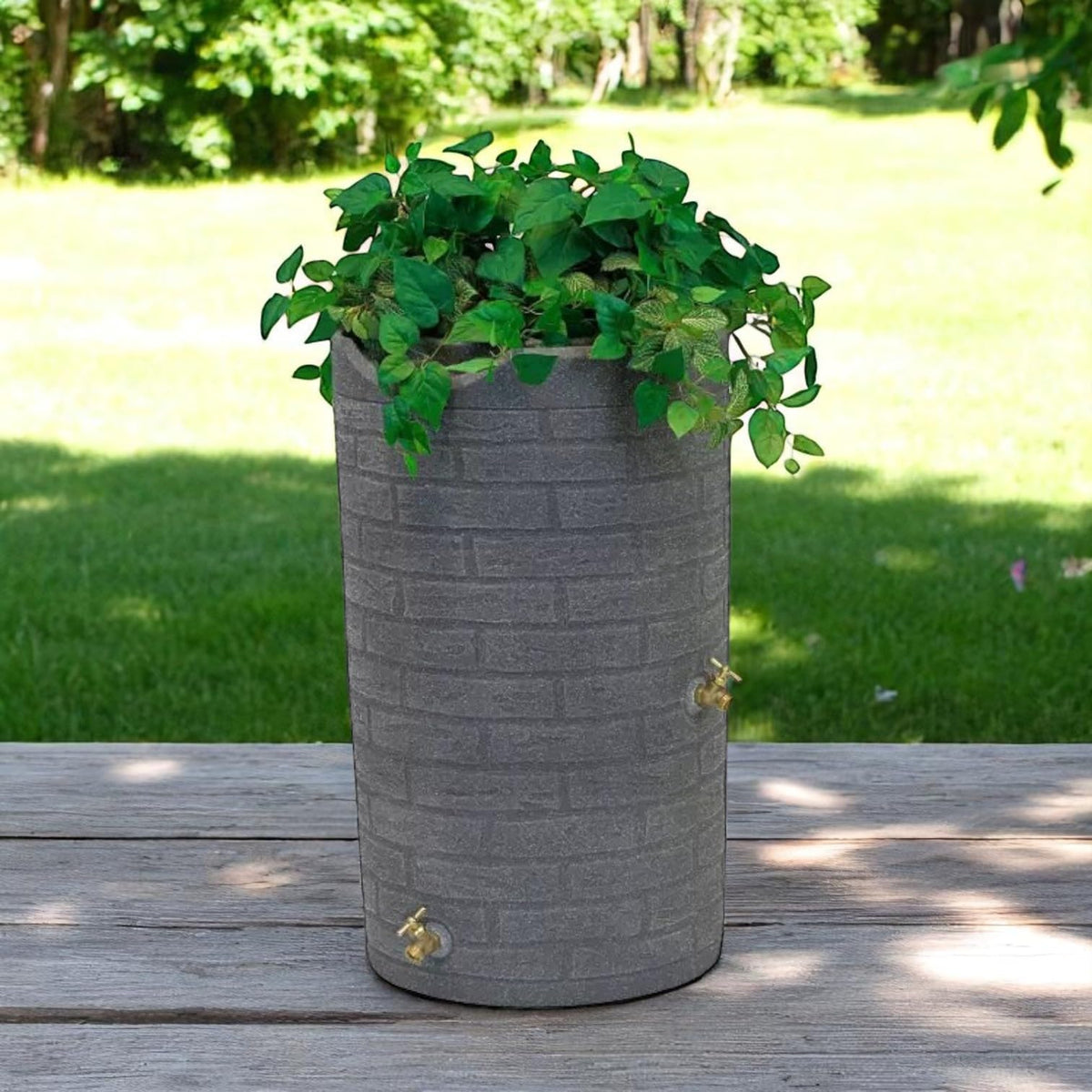 50 Gallon Resin Rain Barrel with Dual Brass Spigots P3635