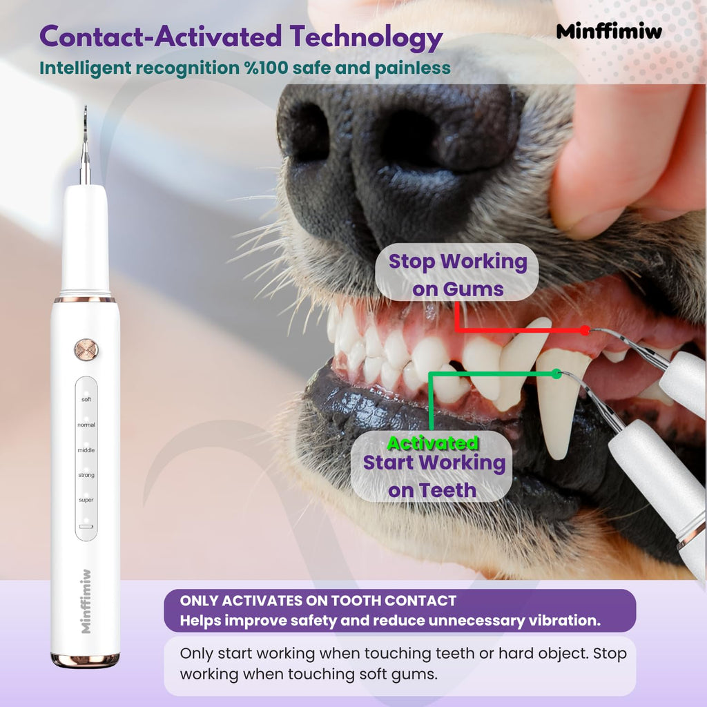 Dog Teeth Cleaning Kit with LED Light E4287