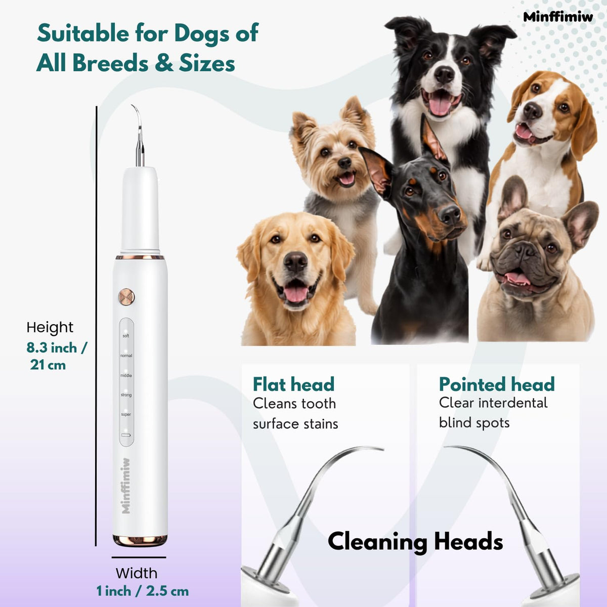 Dog Teeth Cleaning Kit with LED Light E4287