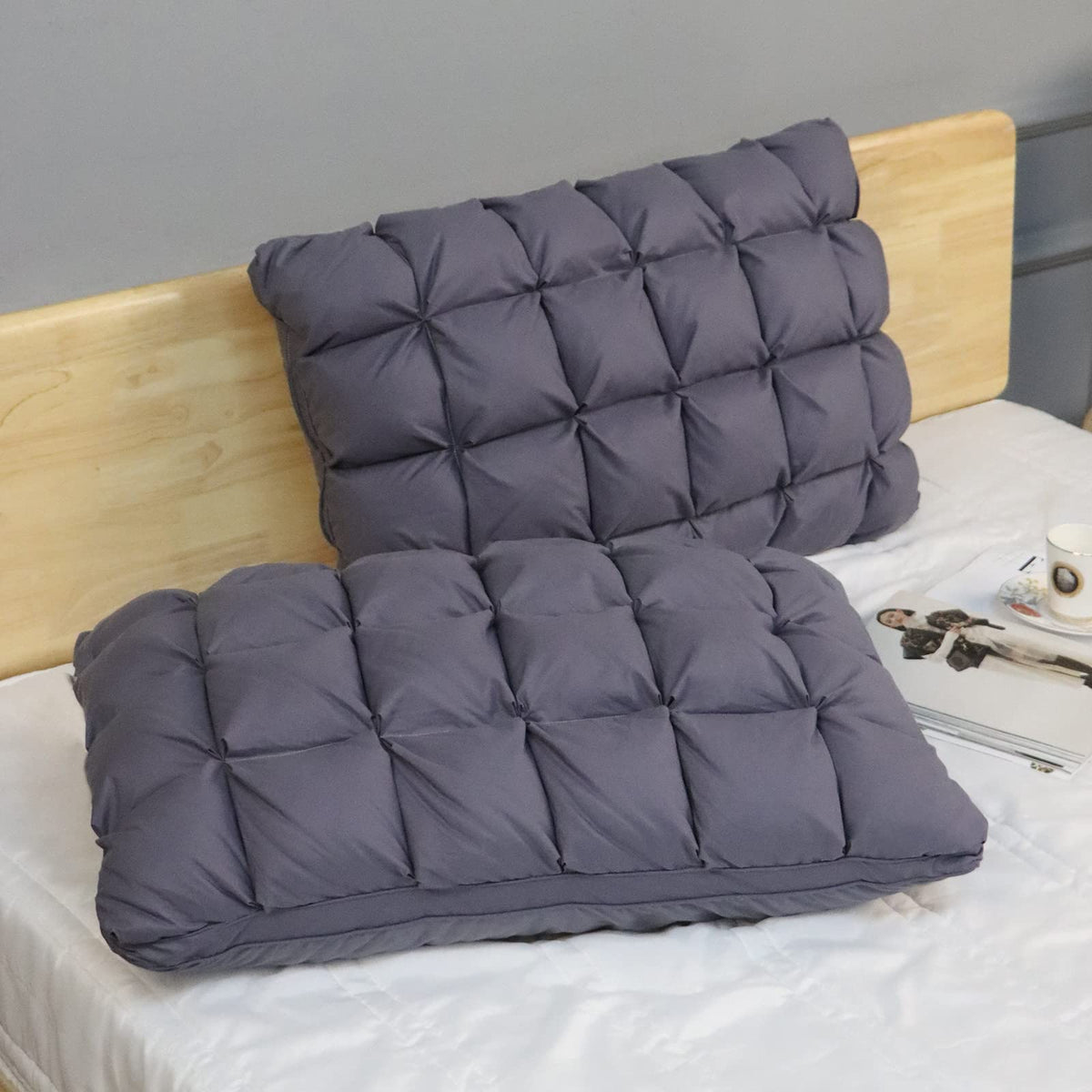 King Size Set of 2 Down Alternative Pillow Y662