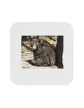 Black Bear 4 Piece Set of Coasters X532