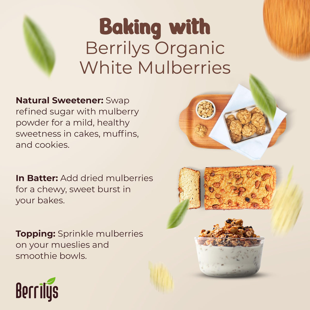 Organic Dried White Mulberries 2 Pack 10oz Y90152
