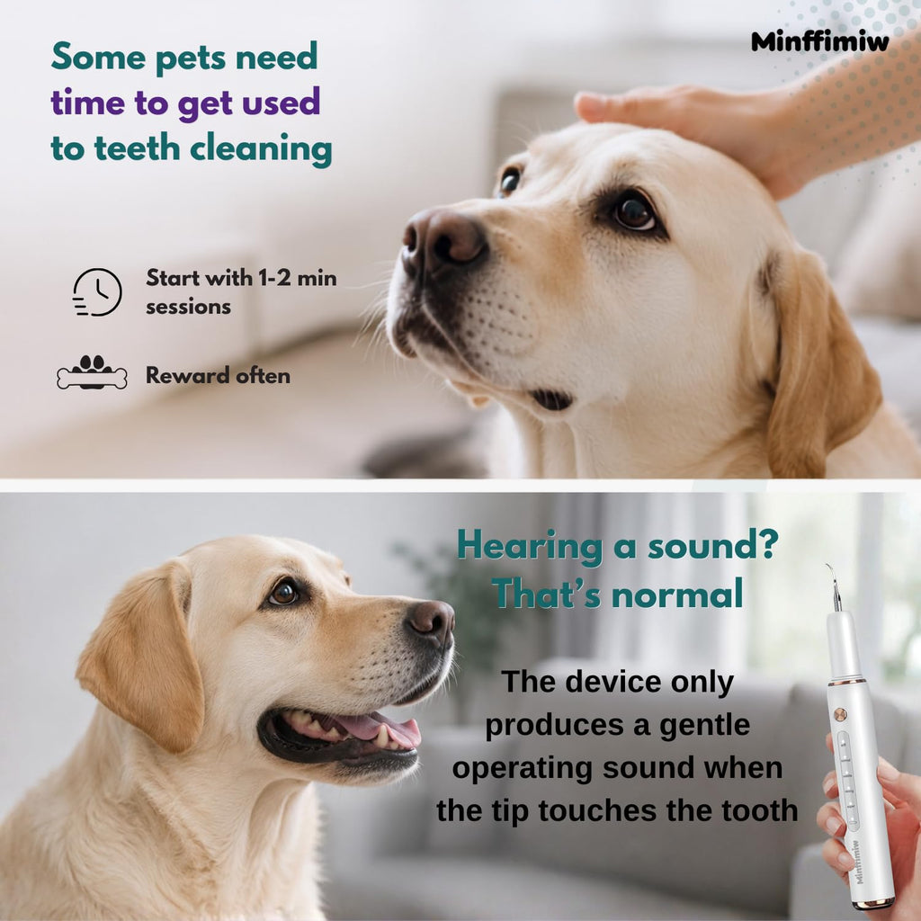 Dog Teeth Cleaning Kit with LED Light E4287