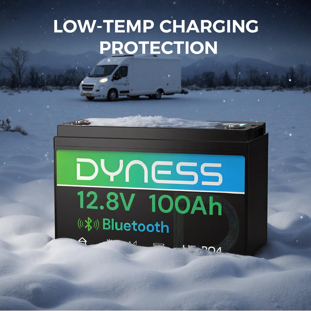 12V 100Ah LiFePO4 Lithium Battery I358