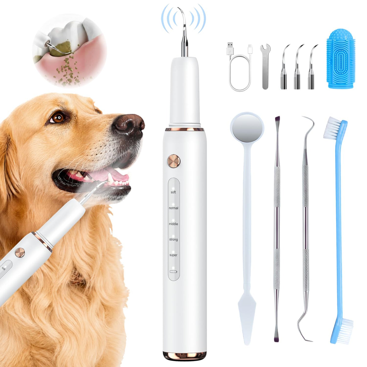 Dog Teeth Cleaning Kit with LED Light E4287