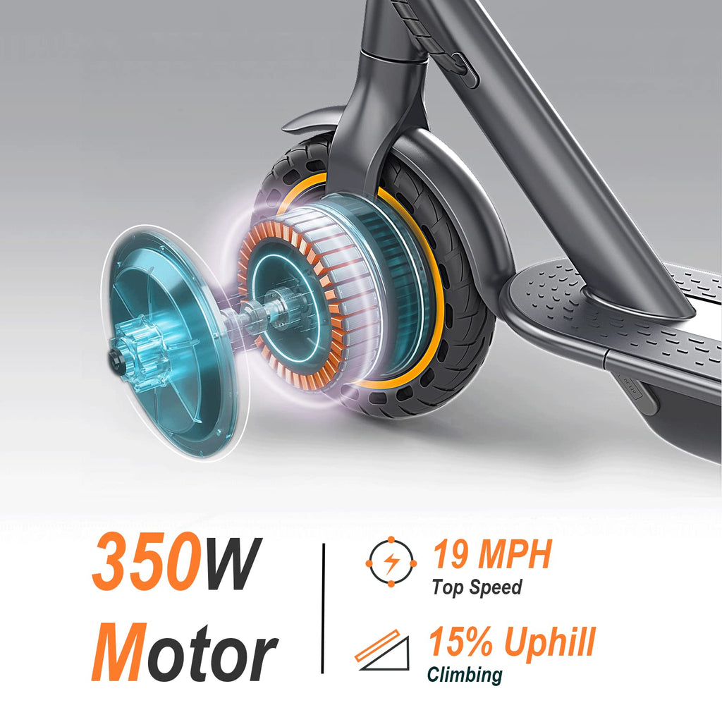 Folding Electric Scooter with Dual Brakes System E6515