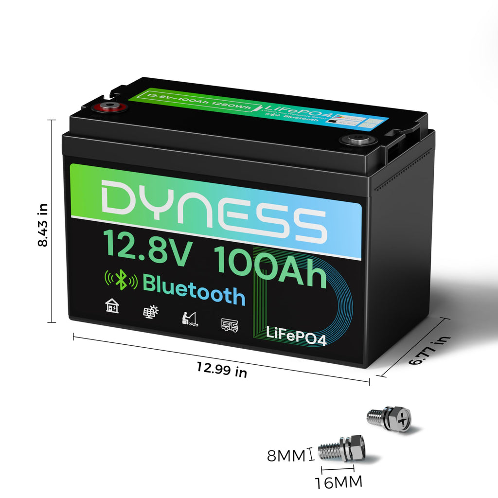 12V 100Ah LiFePO4 Lithium Battery I358