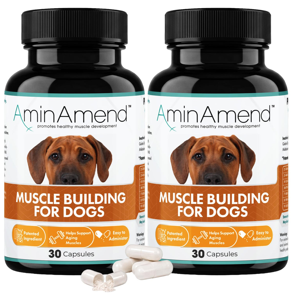 430 mg Muscle Support for Dogs, 30 Ct., 2-Pack E539289