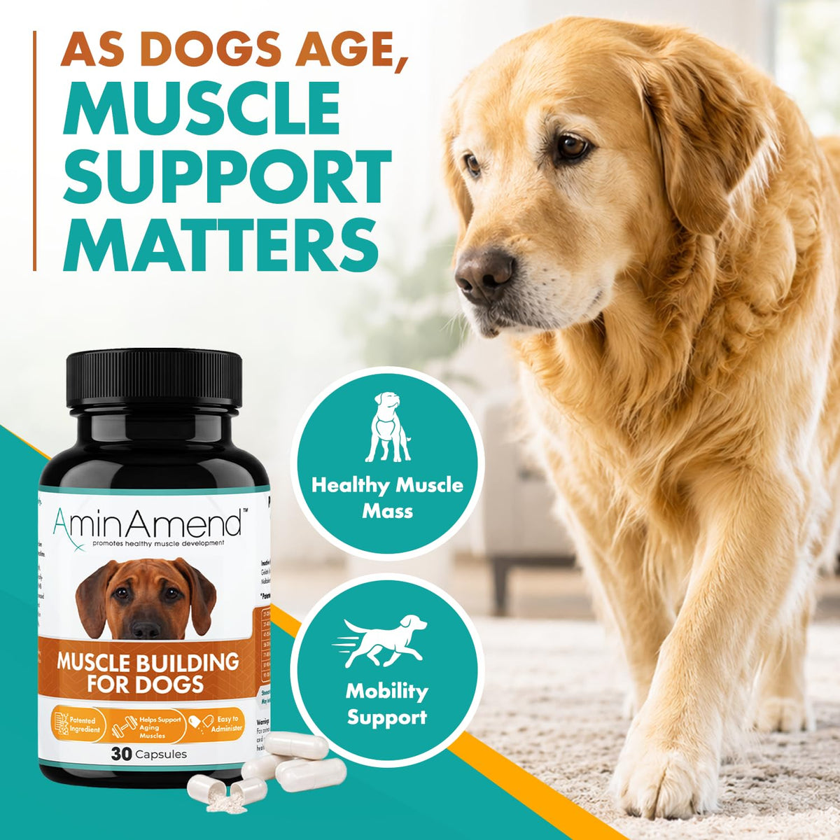 430 mg Muscle Support for Dogs, 30 Ct., 2-Pack E539289
