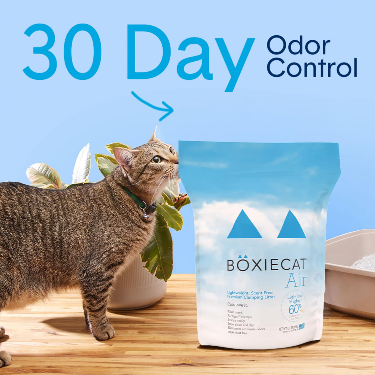 Unscented Natural Lightweight Cat Litter 11.5 lb G4528
