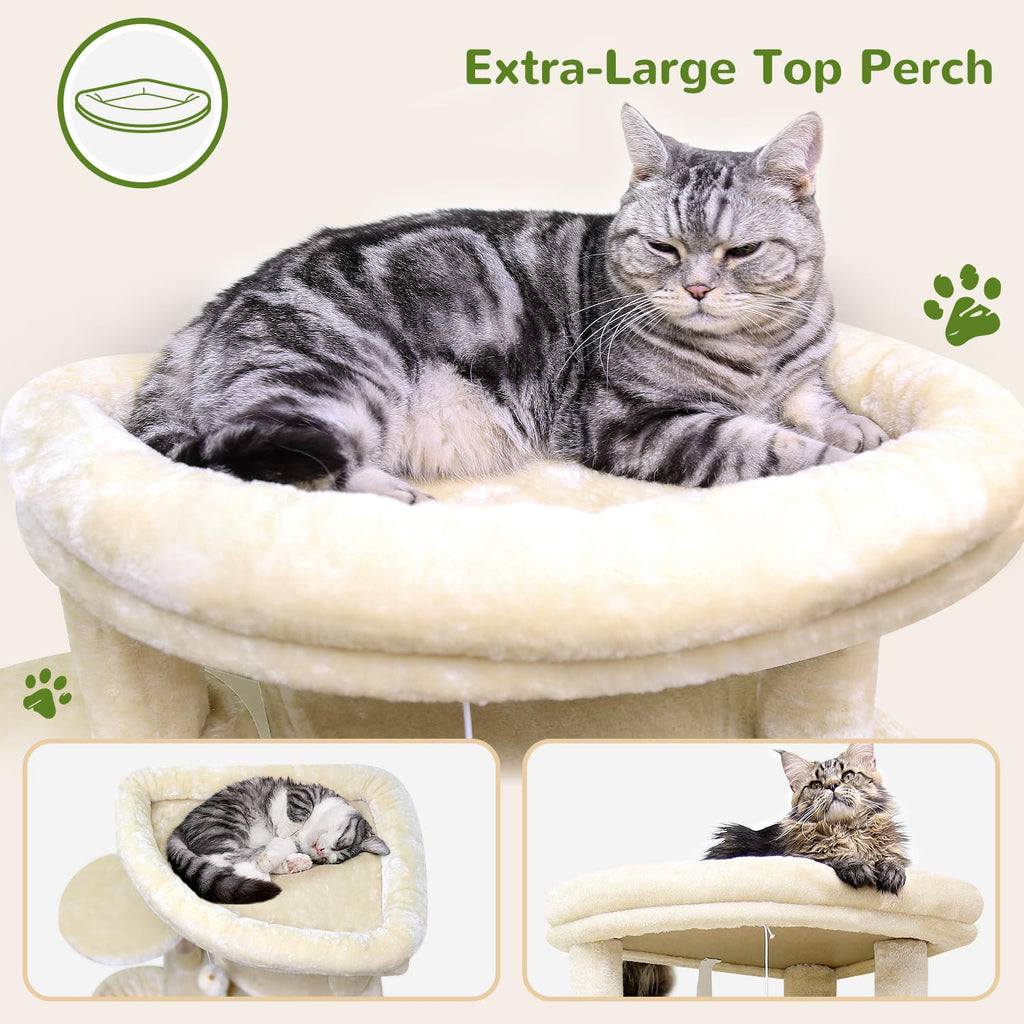 Beige 66inch Corner Cat Tree Tower C5081