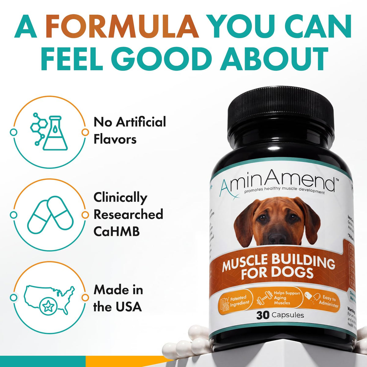 430 mg Muscle Support for Dogs, 30 Ct., 2-Pack E539289
