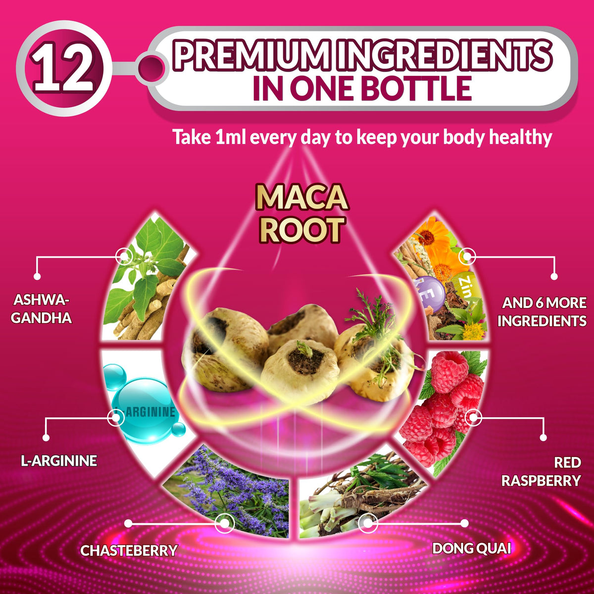 Maca Root Liquid Drops with Ashwagandha 1 Fl Oz K557