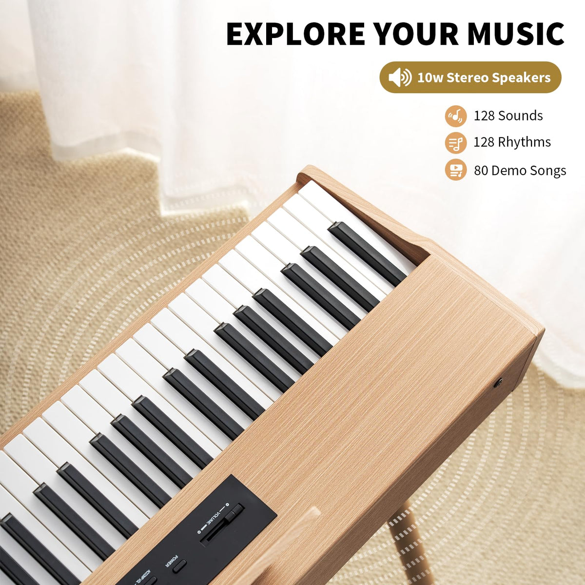 88 Key Fully Weighted Hammer Action Digital Piano S9079
