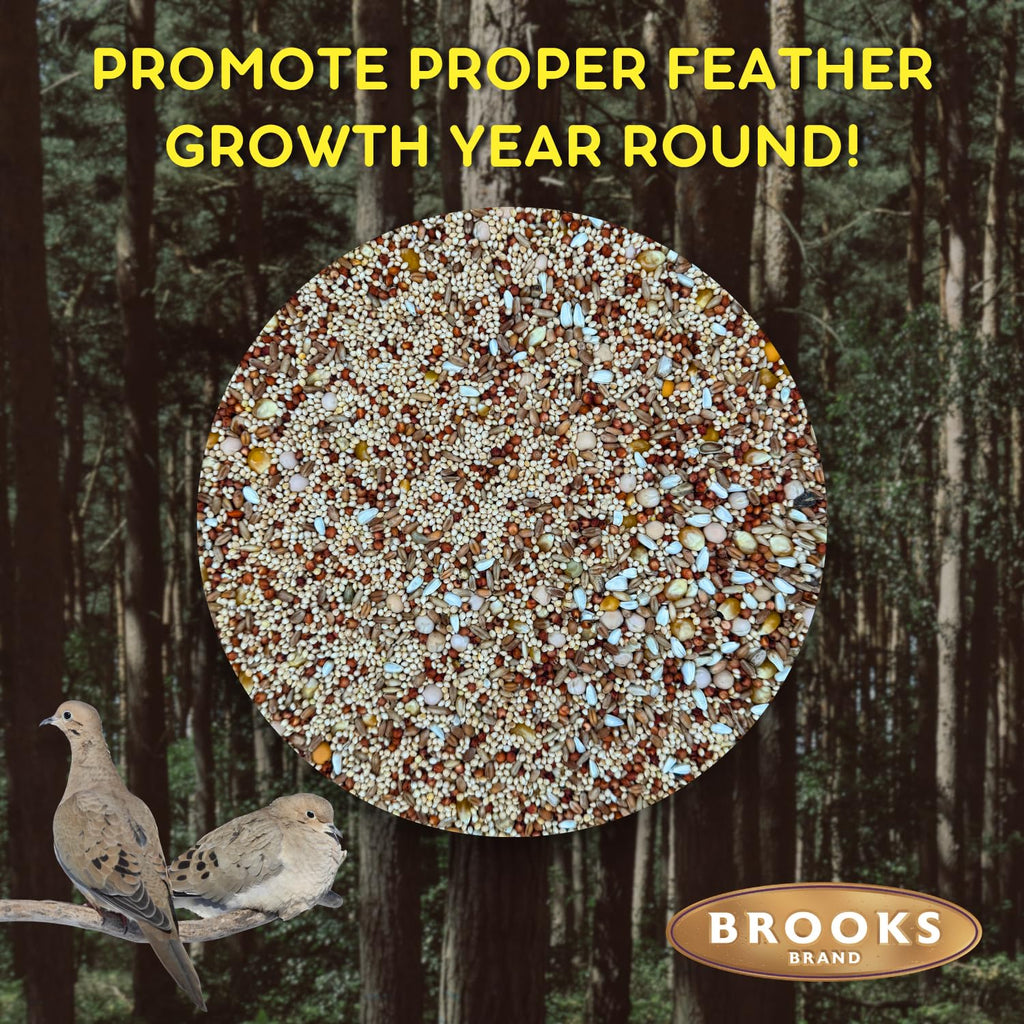 Dove Bird Seed 20 Pound A337
