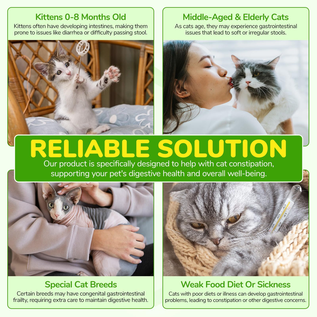 Natural Cat Laxative Liquid Stool Softener 2 fl oz Y288