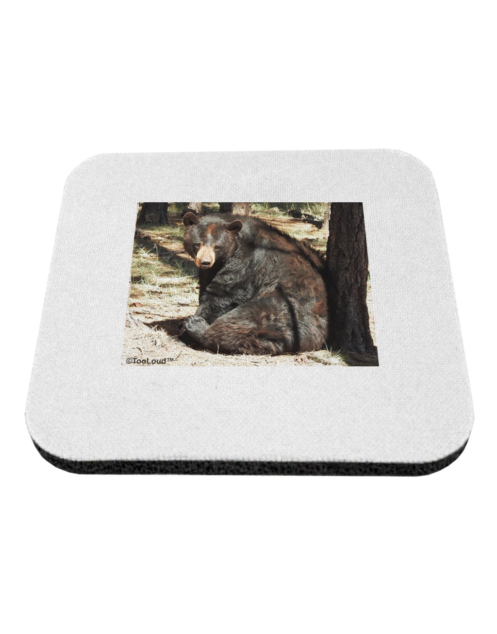 Black Bear 4 Piece Set of Coasters X532