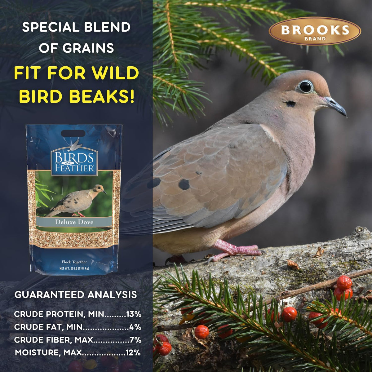 Dove Bird Seed 20 Pound A337