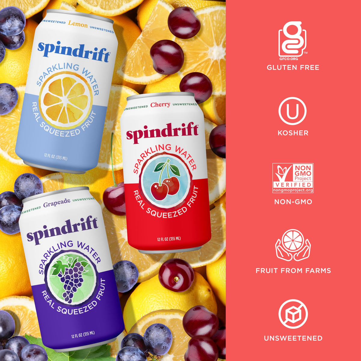 Sparkling Water Variety Pack 12 Fl Oz Cans Pack of 24 N49361
