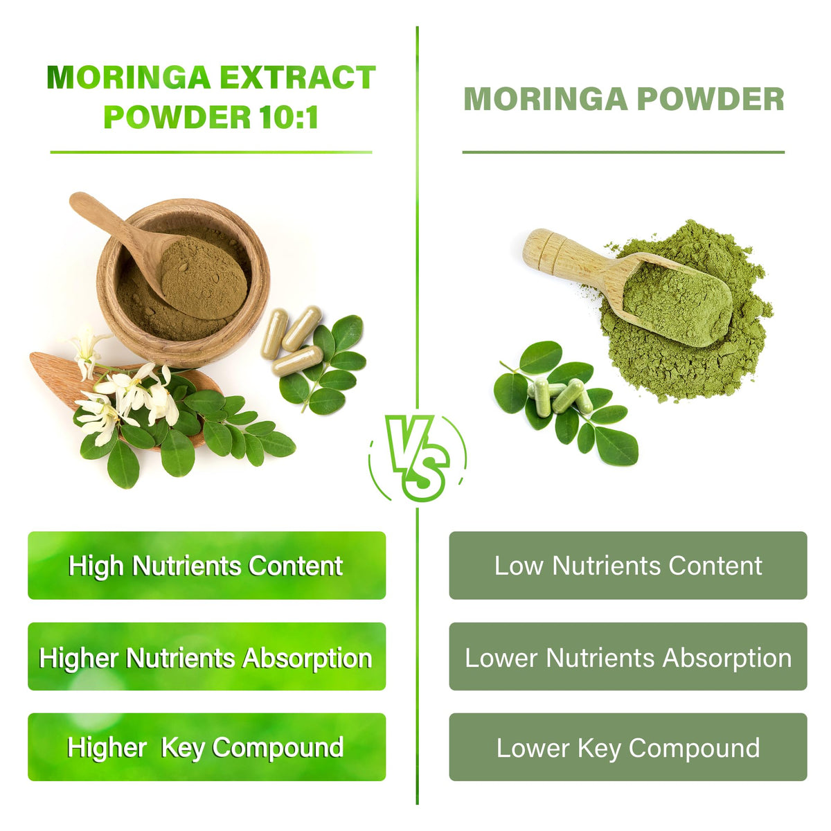 Moringa Capsules 300 Count N27186