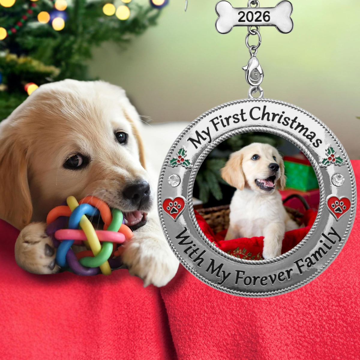 Dog Photo Ornament with Red Heart, 3 Inch S50611