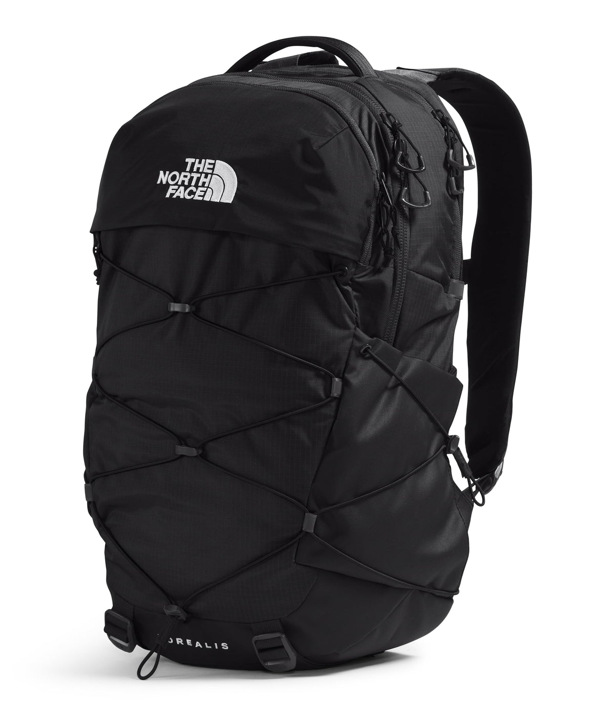 Black Laptop Backpack R524156