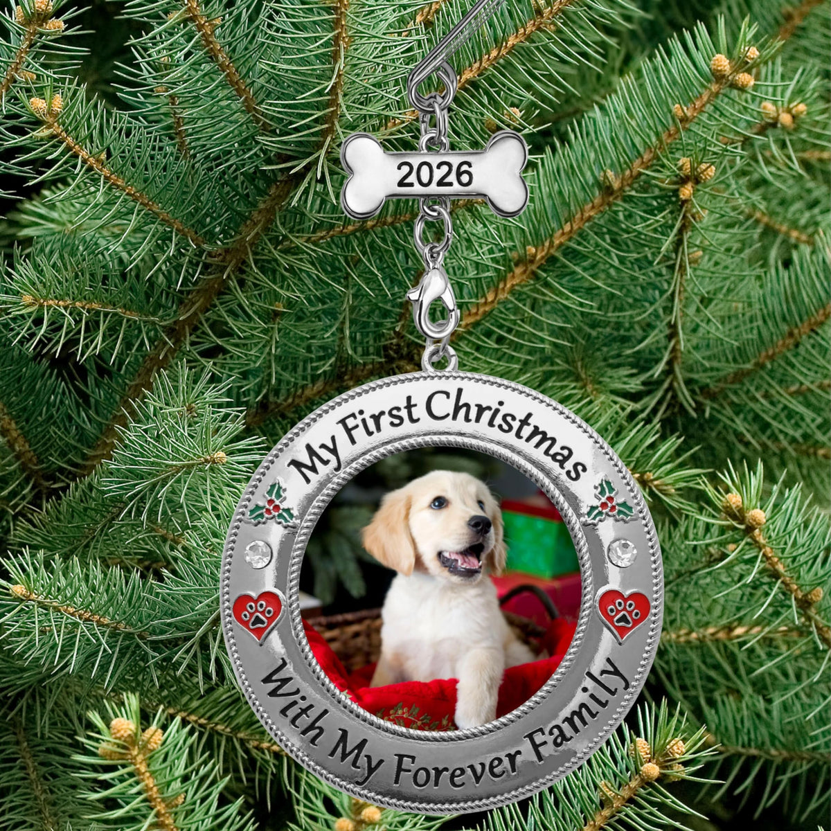 Dog Photo Ornament with Red Heart, 3 Inch S50611