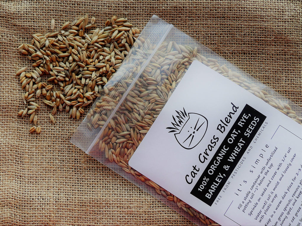 100% Organic Cat Grass Seed Mix 6 Ounce Z6855