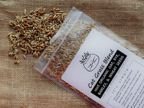 100% Organic Cat Grass Seed Mix 6 Ounce Z6855